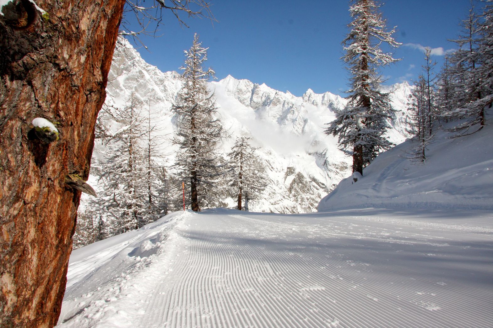 Courmayeur ski holidays in italy's aosta valley