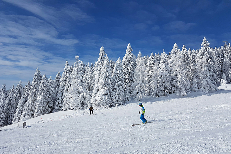 skiers having fun